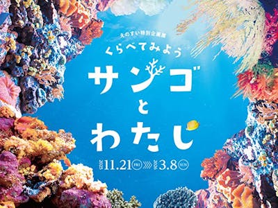 5%割引クーポン】新江ノ島水族館の前売りチケット・割引情報