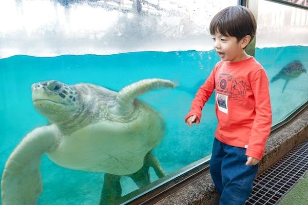 新江ノ島水族館の前売りチケット・割引情報 - アソビュー！