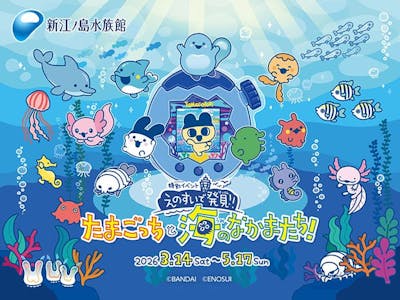 5%割引クーポン】新江ノ島水族館の前売りチケット・割引情報