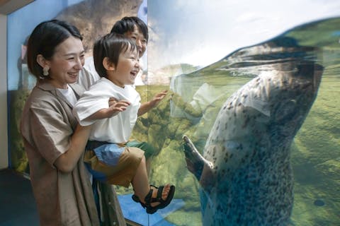 神奈川 おすすめ水族館 割引クーポン情報 アソビュー 神奈川 おすすめ水族館 割引クーポン情報 アソビュー