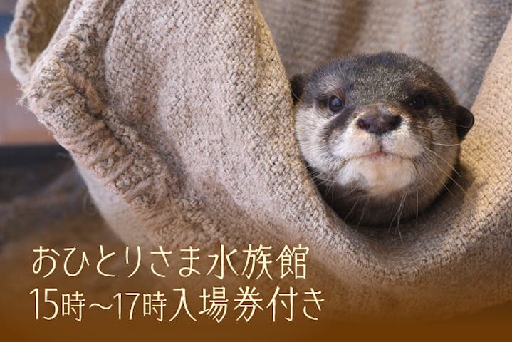 新江ノ島水族館 割引チケット クーポンならアソビュー