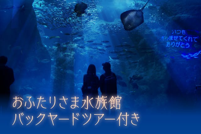 【2月13日（日）】おふたりさま水族館　イルカのバックヤードツアー付きペアチケット