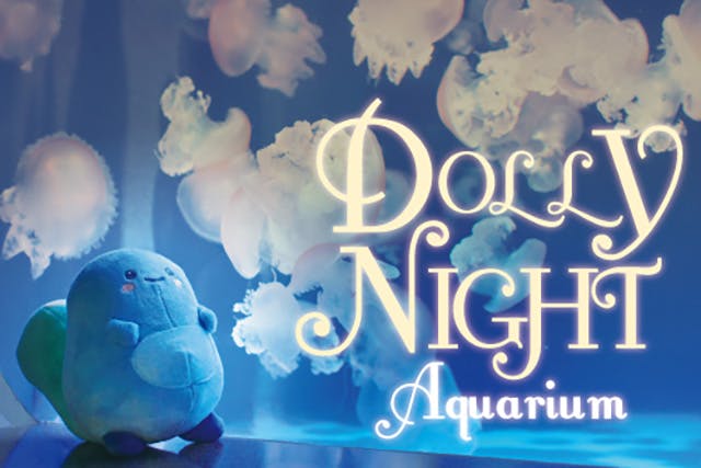 【3月4日（土）】Dolly Night Aquarium15時～17時入場券付チケット