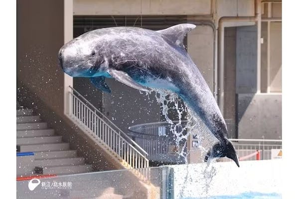 10/6〜【ウルトラセブン55周年！】新江ノ島水族館 限定エノシマセブン