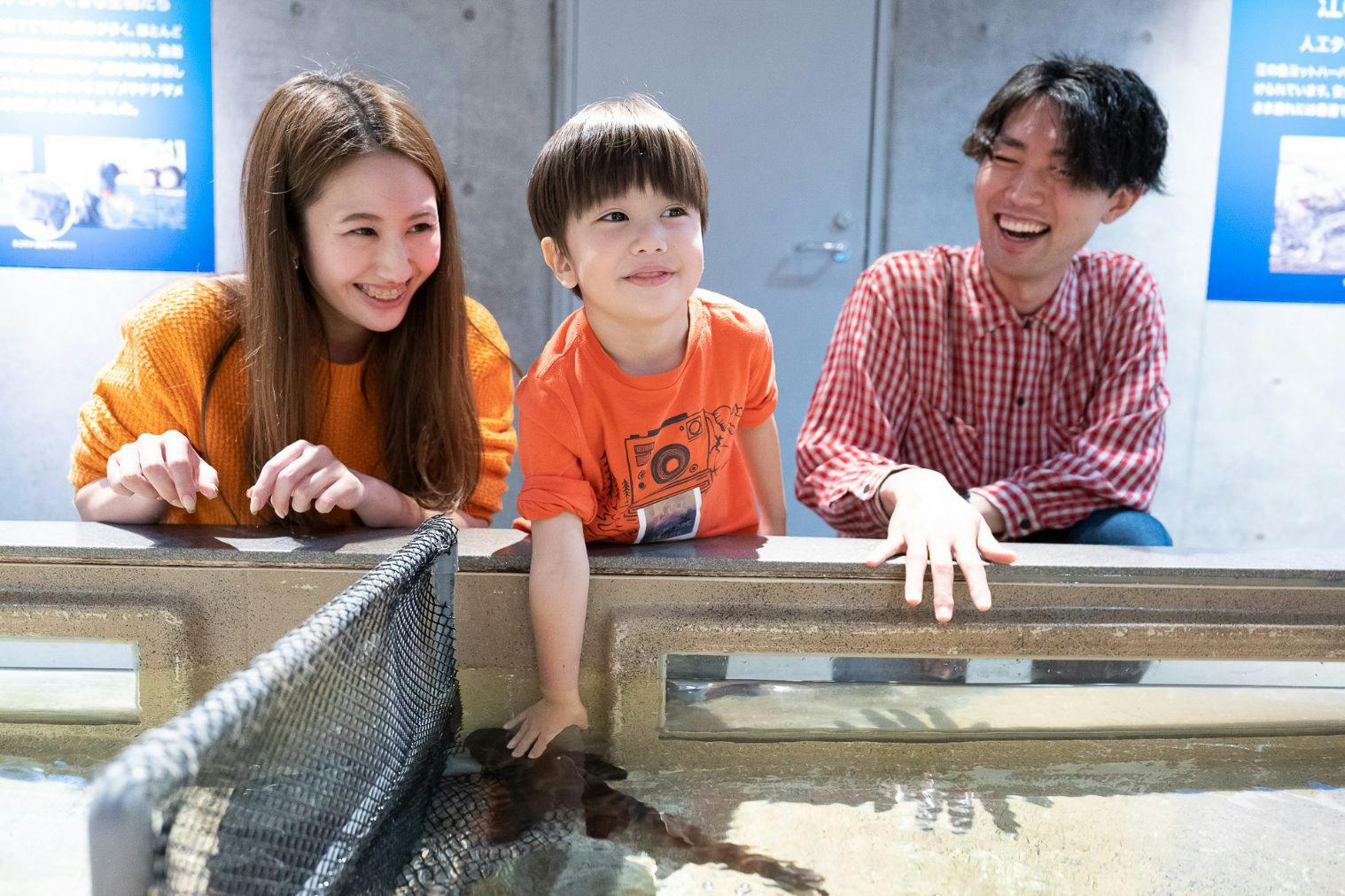 新江ノ島水族館 入館招待券 大人小人共通 チケット - 水族館