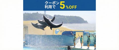 超特割！【クーポン利用で5%OFF！】新江ノ島水族館　前売り入場チケット