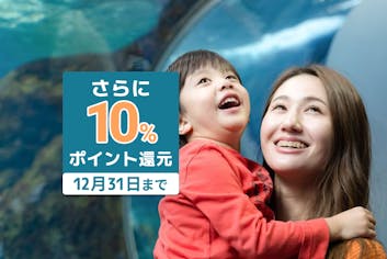 超特割！【さらに10%ポイント還元】新江ノ島水族館 前売り入場チケット