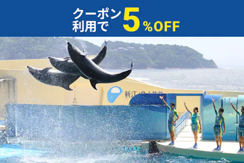 【クーポン利用で5%OFF！】新江ノ島水族館　前売り入場チケット
