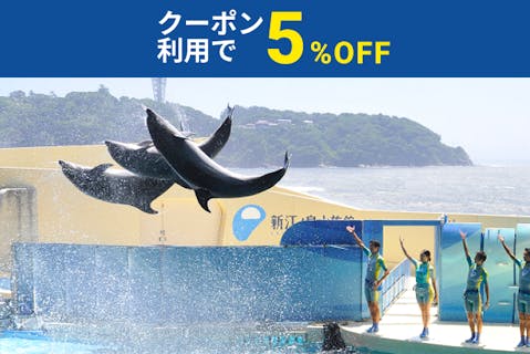 超特割！【クーポン利用で5%OFF！】新江ノ島水族館　前売り入場チケット
