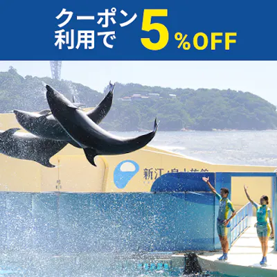 非売品】佐川急便 江の島の誓い 激レア 非売品】佐川急便 江の島の誓い 非売品】佐川急便 江の島の誓い 激レア 非売品】佐川急便 江の島の誓い