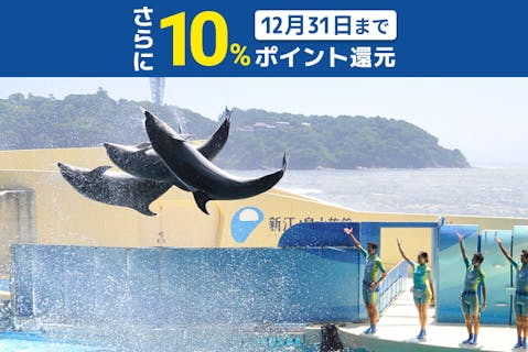 超特割！【さらに10%ポイント還元】新江ノ島水族館　前売り入場チケット