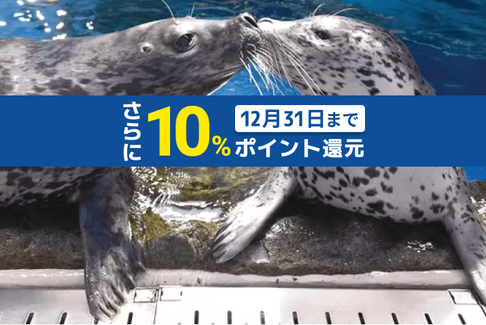 超特割！【さらに10%ポイント還元】新江ノ島水族館　前売りペア入場チケット（大人2名分）