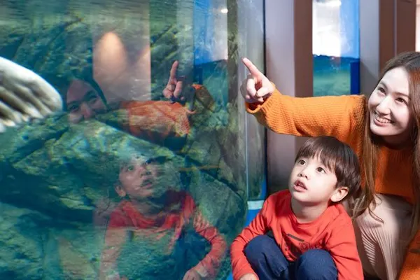 超特割！【クーポン利用でさらに5%OFF！】新江ノ島水族館 前売り親子