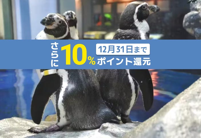 超特割！【さらに10%ポイント還元】新江ノ島水族館　前売り親子ペア（大人＋小中学生）入場チケット