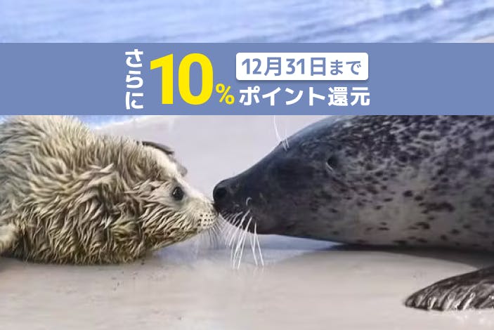 超特割！【さらに10%ポイント還元】新江ノ島水族館　前売り親子ペア（大人＋幼児）入場チケット