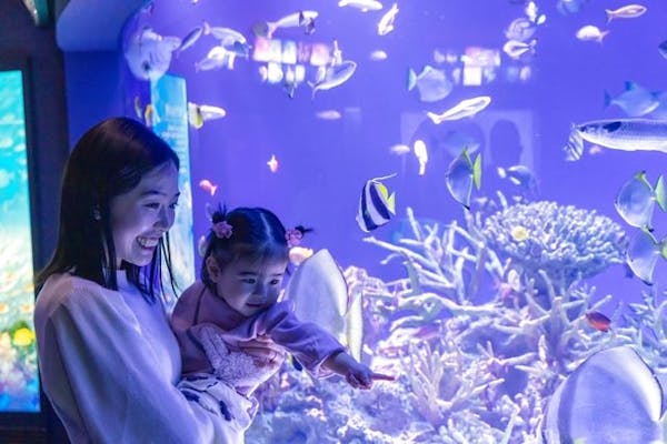 超特割！【クーポン利用でさらに5%OFF！】新江ノ島水族館 前売り親子