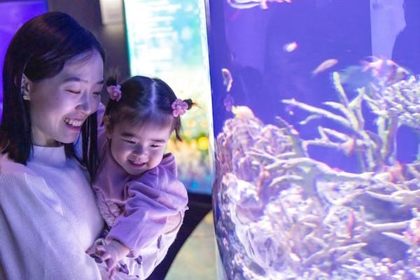 超特割！【クーポン利用でさらに5%OFF！】新江ノ島水族館 前売り親子