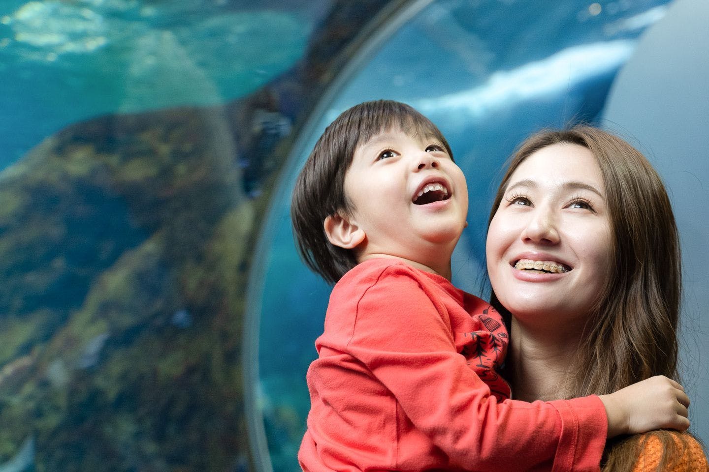 ＜最大3,000円OFFクーポン利用可＞新江ノ島水族館　前売り入場チケット