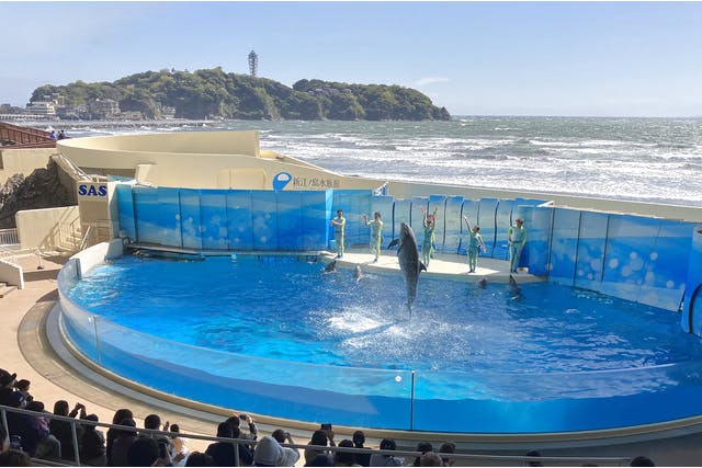 7月6日（日）開催】CHINTAI presentsサステナブルースカイ〜夏の