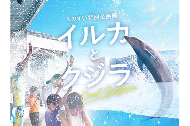 お歳暮･冬ギフト2025｜ギフト・贈り物はセブン 新江ノ島水族館のチケット購入・予約 その他