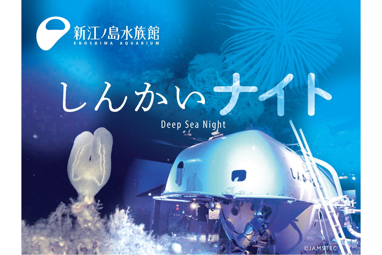 2/22(日)】閉館後特別イベント しんかいナイト しんかい2000乗船体験
