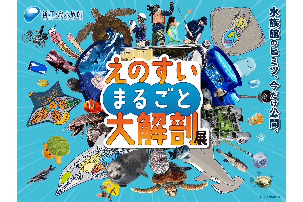 7/3～利用可能）えのすいまるごと大解剖展 限定キラキラステッカー付き