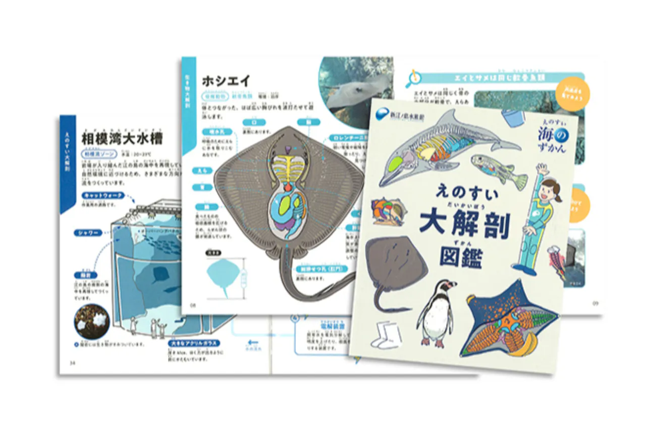 自由研究にもおすすめ！】限定キラキラステッカー付き入場券 - 新