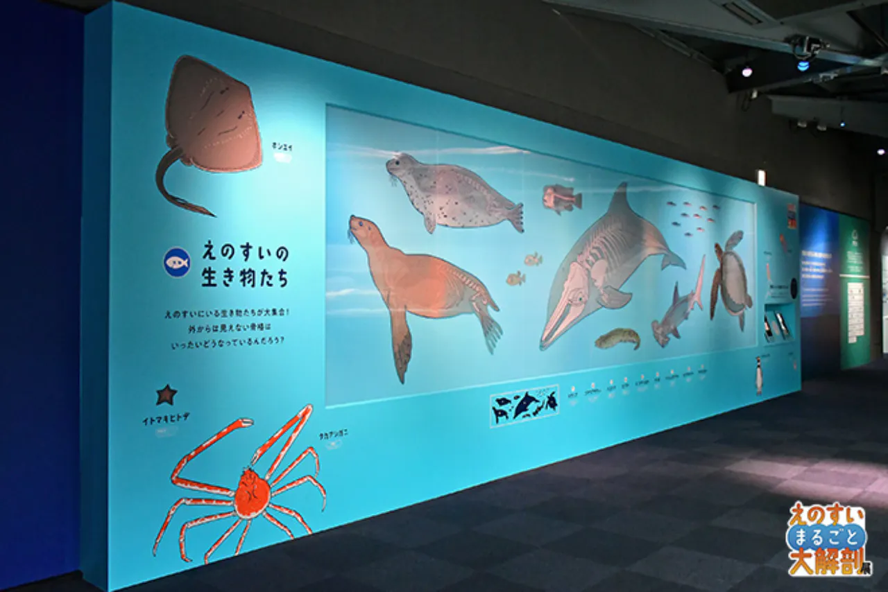 自由研究にもおすすめ！】限定キラキラステッカー付き入場券 - 新