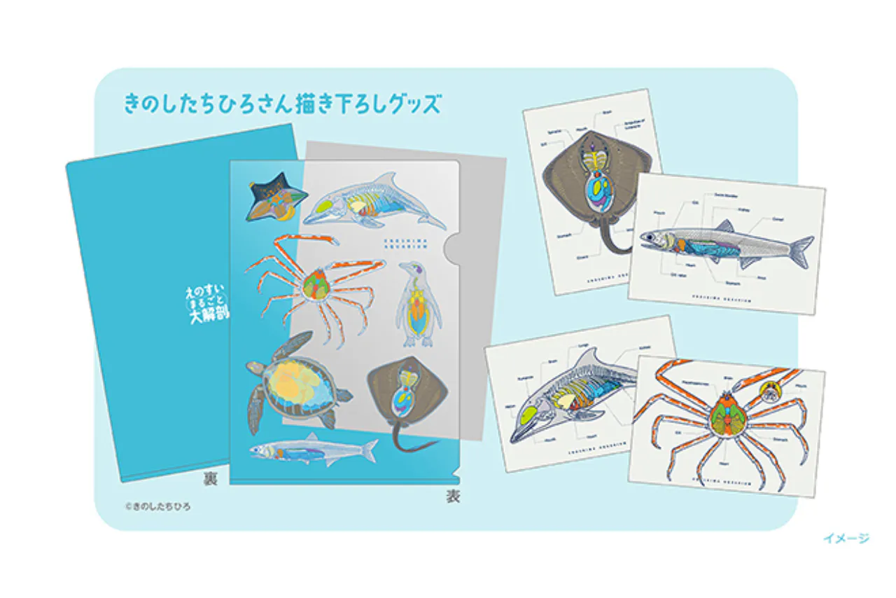 入江観、【遊水II】、希少な額装用画集より、新品額装付 自由研究にもおすすめ！】限定キラキラステッカー付き入場券 - 新