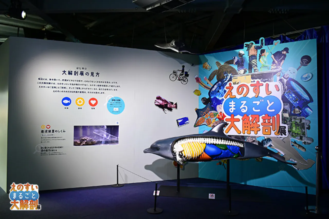 自由研究にもおすすめ！】限定キラキラステッカー付き入場券 - 新