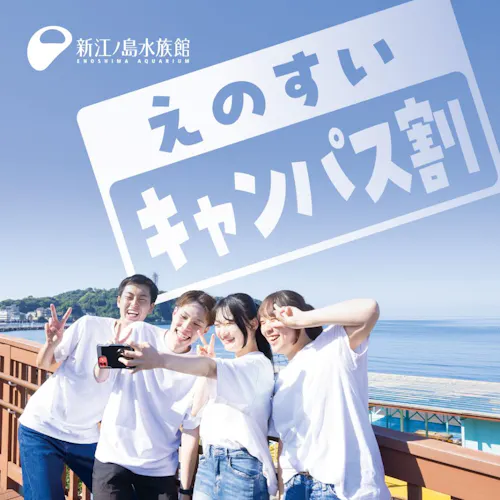 藤沢市 アソビュー！クーポン対象プラン一覧｜ふるさとチョイス