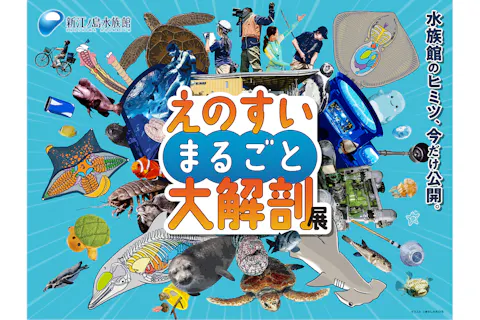 えのすいまるごと大解剖展 大解剖図鑑付き入場券