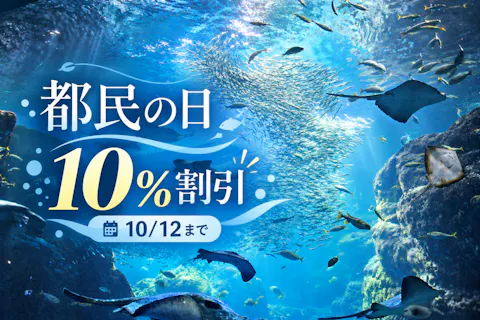 直チケ】アクアリゾーツパス＋12：45～BBQ食べ放題90分セット券＊各