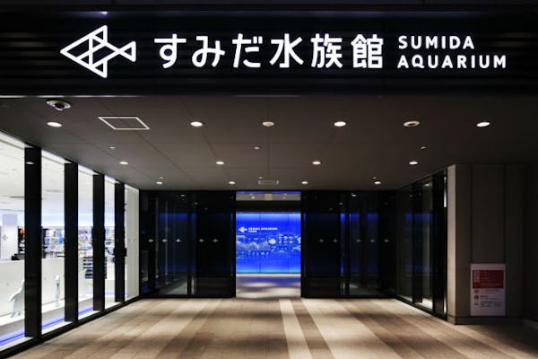 すみだ水族館の前売りチケット 割引情報 アソビュー すみだ水族館の前売りチケット 割引情報 アソビュー
