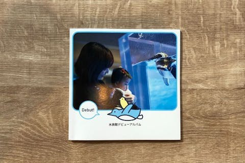 関東 おすすめ水族館まとめ 割引クーポン アソビュー