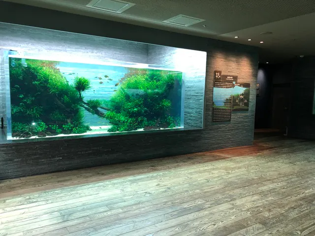 すみだ水族館のチケット購入 予約