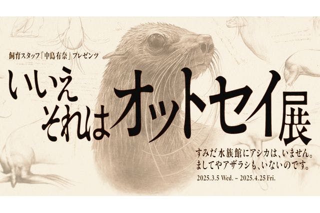 すみだ水族館　日時指定チケット　 ※各回の入場開始時間は混雑が予想されます。