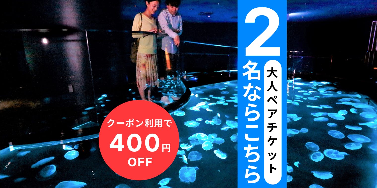 【クーポン適用で400円引き！】アソビュー限定！すみだ水族館 大人ペアチケット