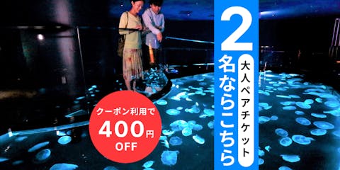 【クーポン適用で400円引き！】アソビュー限定！すみだ水族館 大人ペアチケット