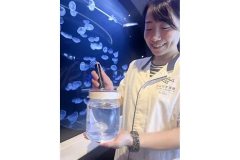 有料ワークショップ「ふわふわクラゲ」