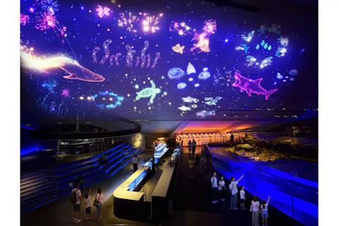 すみだ水族館　中学生以下半額