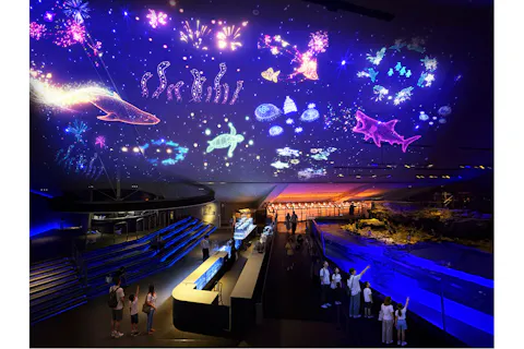 すみだ水族館 大人/高校生グループ割引