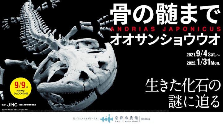 京都水族館 割引チケット クーポンならアソビュー 京都水族館 割引チケット クーポンならアソビュー