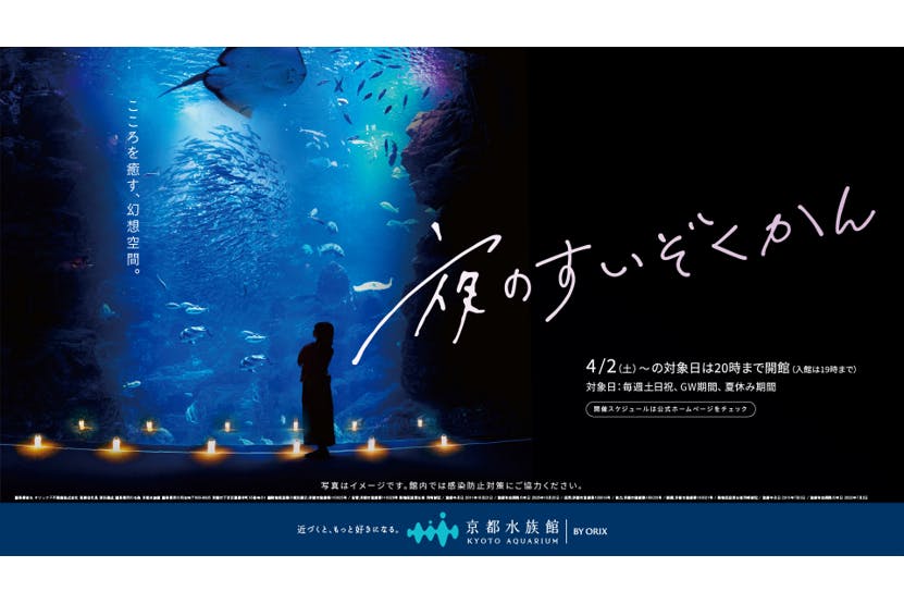 京都水族館　ペアチケット　７月31日までに引換