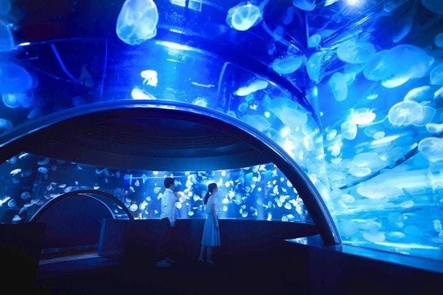 【大人限定10％割引】水族館入場＋お買物券500円分