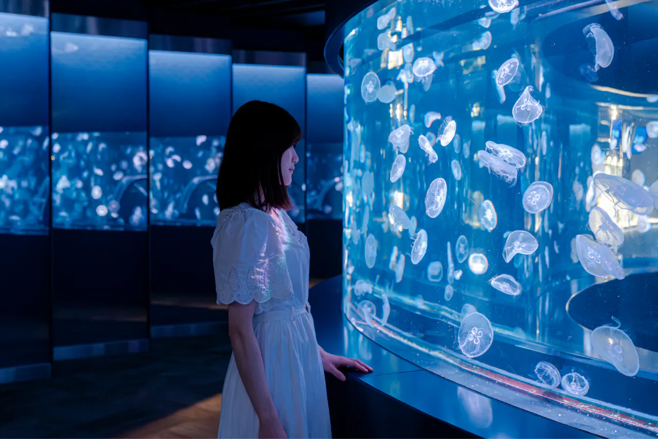 京都水族館 夏の「西の界」ボンボンドロップシール購入券付き入館券