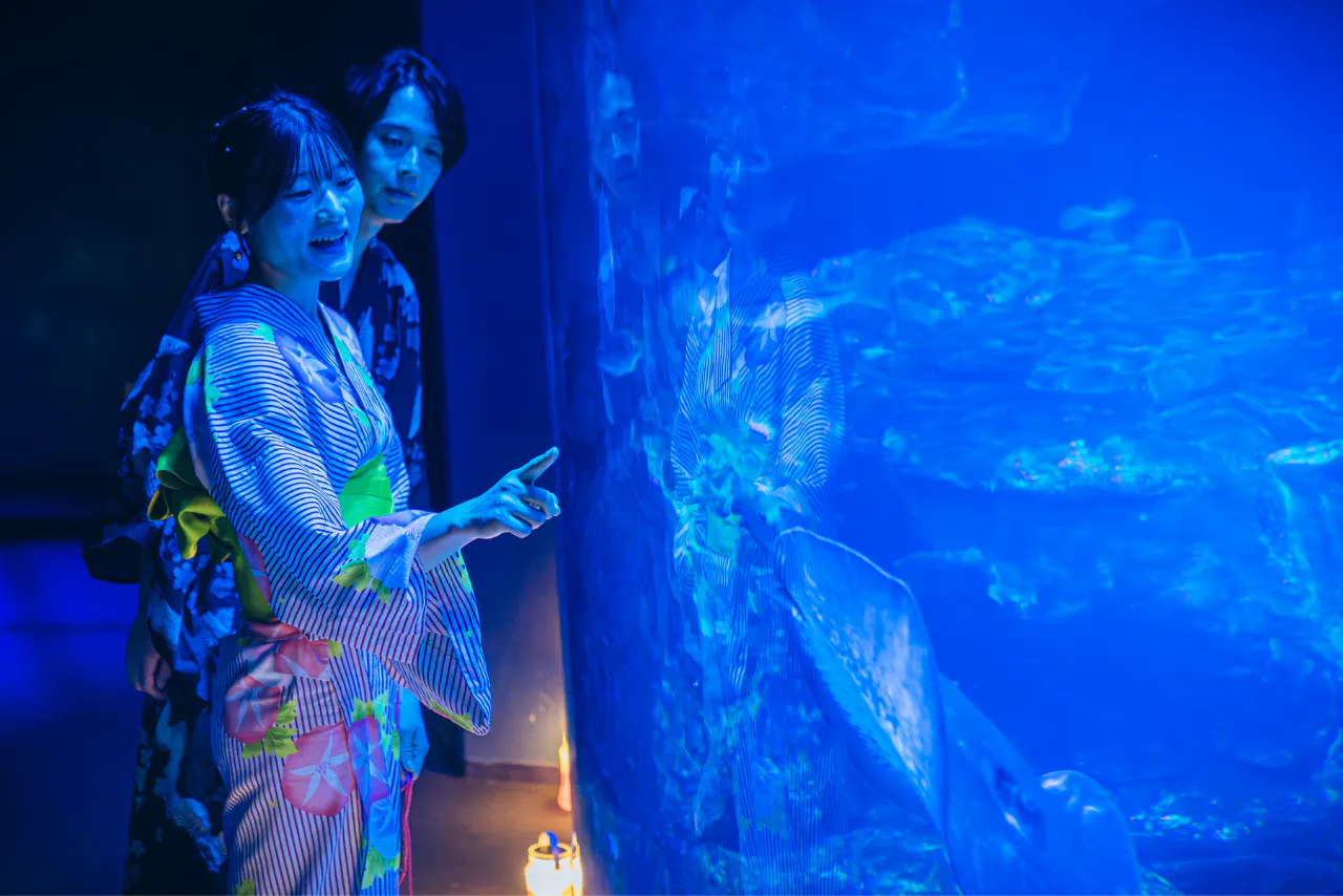 京都水族館 夏の「東の界」入場券｜アソビュー！
