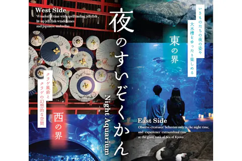 京都水族館 夏の「全館（東の界・西の界）」入場券｜アソビュー！