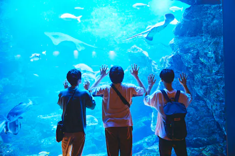 京都水族館　大人/高校生グループ割引