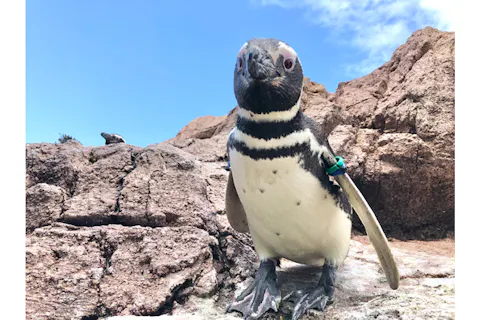 【最大150円割引】「道の駅　うみてらす名立商品券」「うみがたり入館券」セットプラン